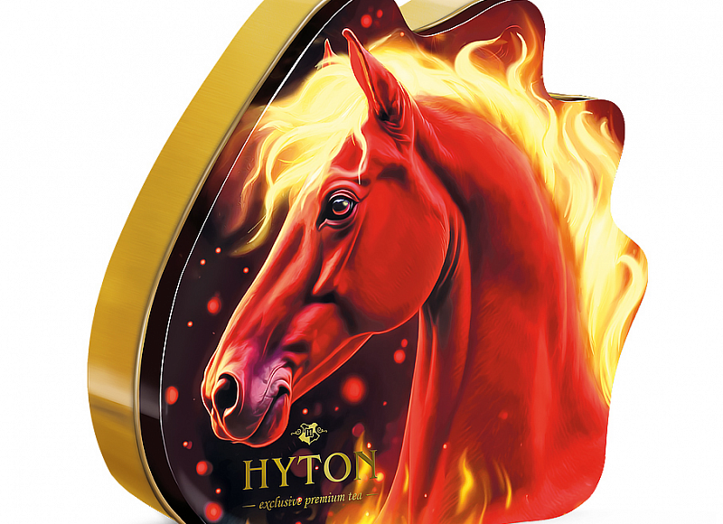 Чай черный HYTON Подарок 12 100г 1/40